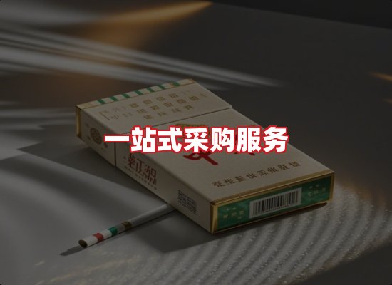 专业团队